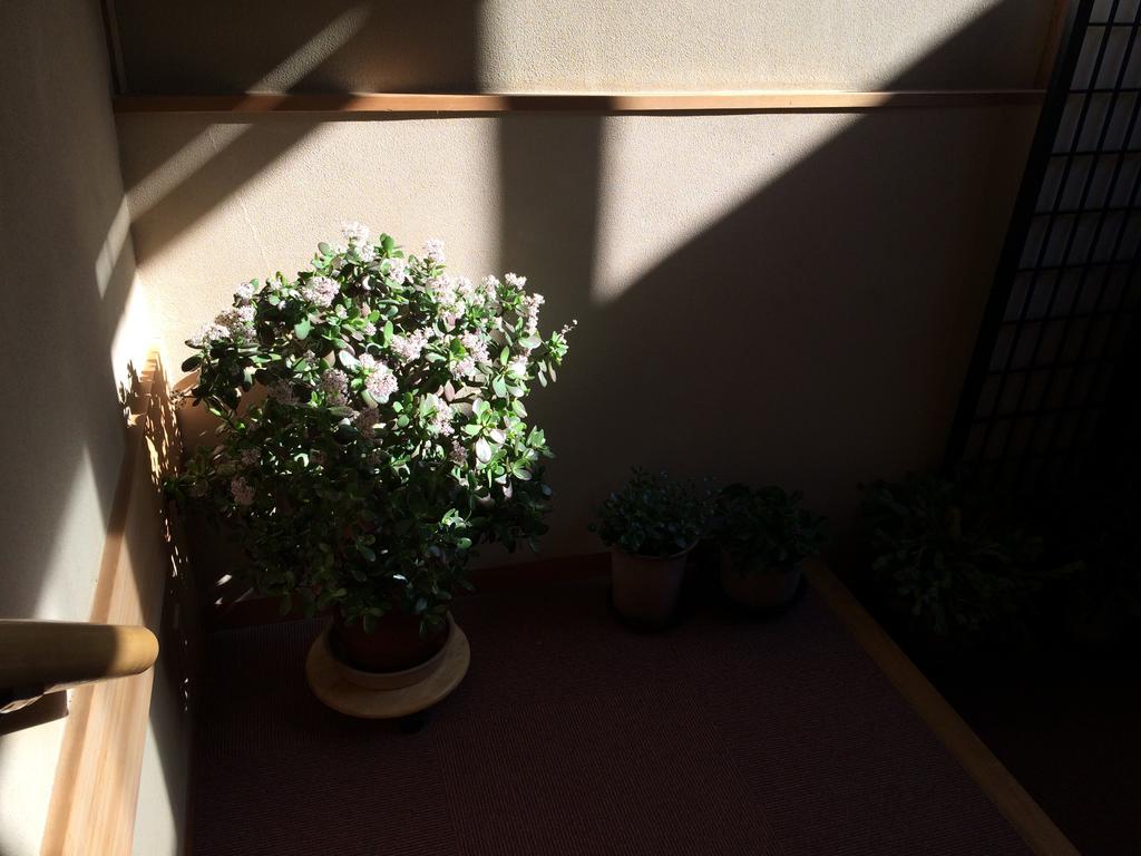Yudanaka Onsen Yamazakiya Hotel Jamanoucsi Kültér fotó
