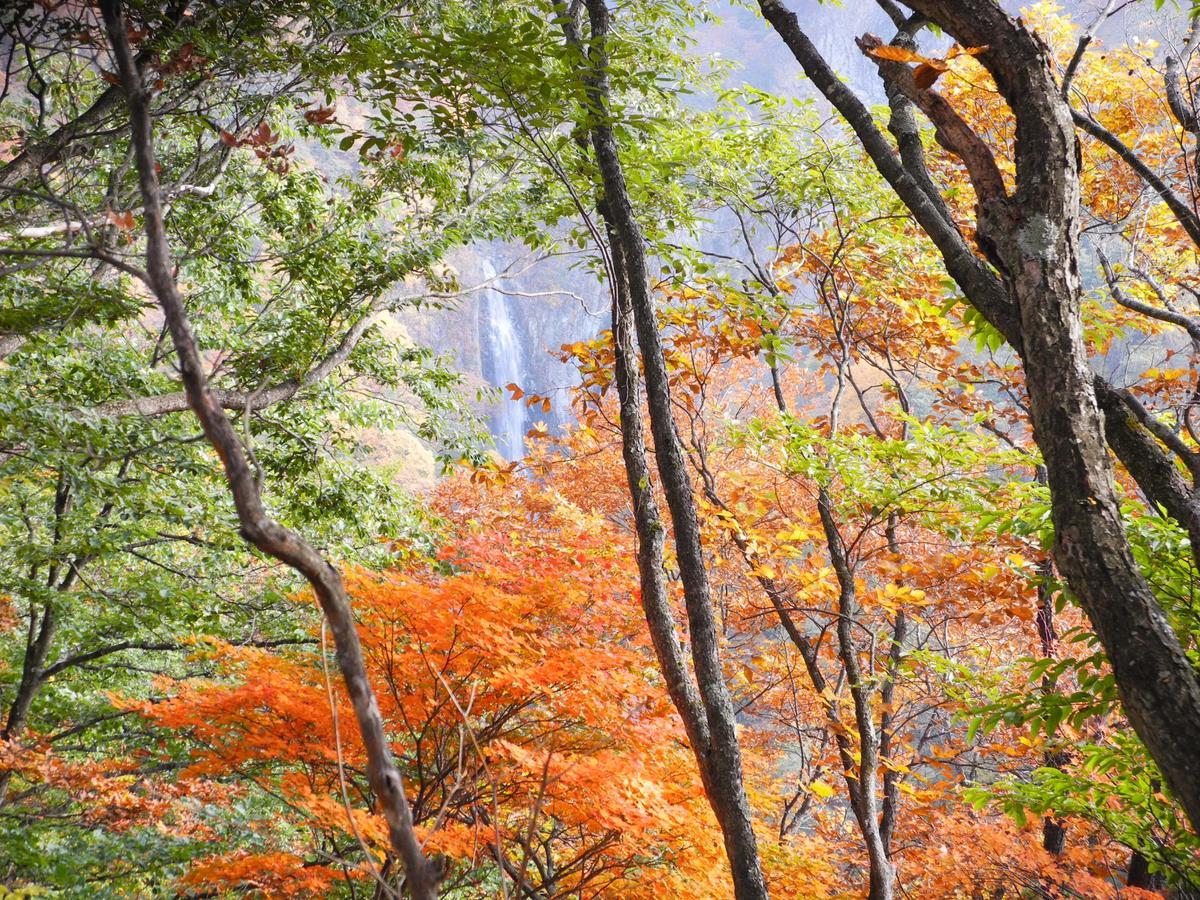 Yudanaka Onsen Yamazakiya Hotel Jamanoucsi Kültér fotó